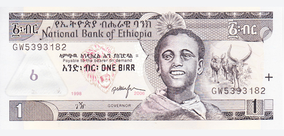 profile